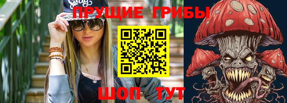 Псилоцибиновые грибы Cubensis Усинск